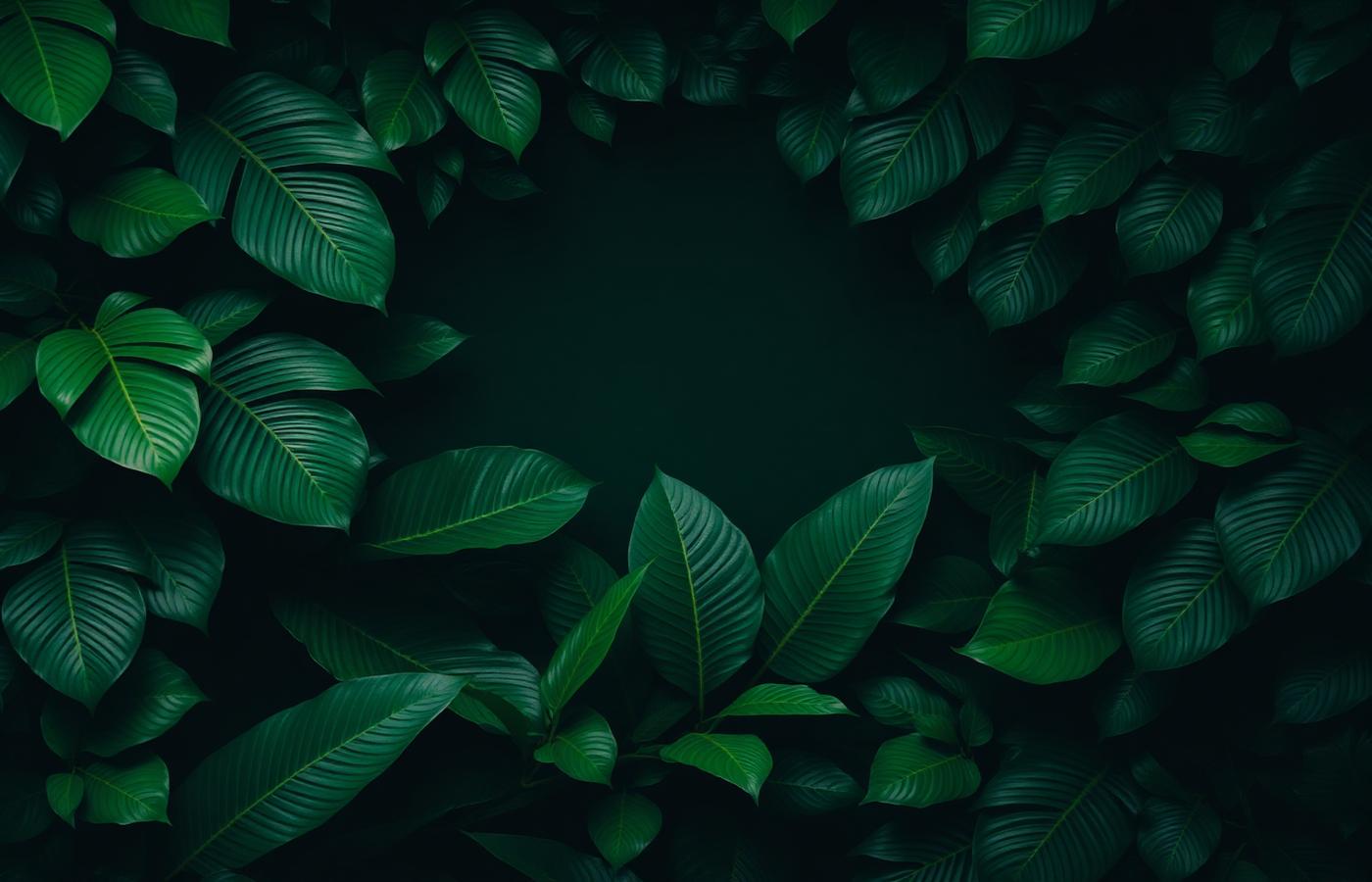 Environnement